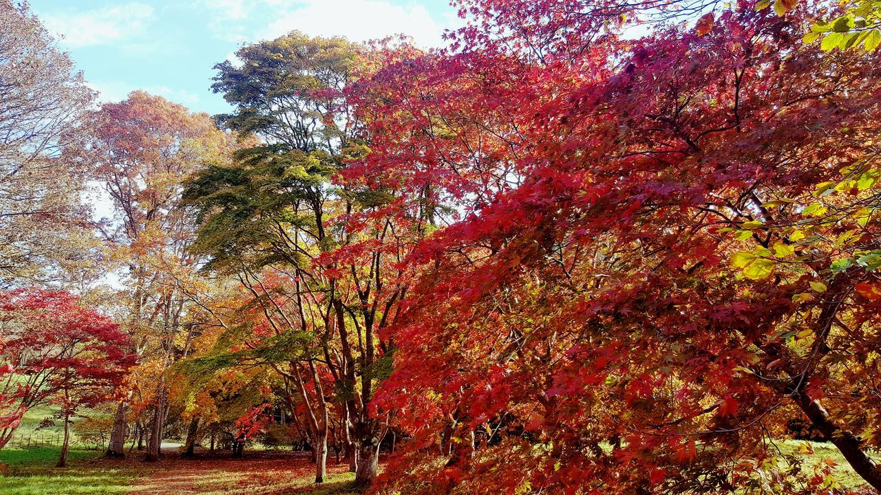 宝德圭内德住宿加早餐旅馆 贝图瑟科伊德 外观 照片